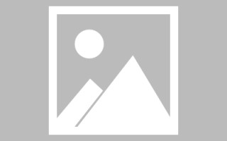 射洪肇庆教育网站建设（肇庆市教育平台登录入口）